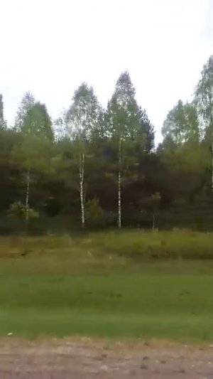 подпищись