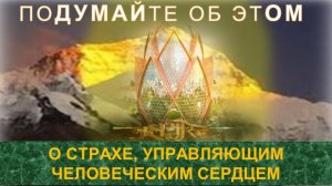 (4) О СТРАХЕ, УПРАВЛЯЮЩИМ ЧЕЛОВЕЧЕСКИМ СЕРДЦЕМ - компиляция из серии ПОДУМАЙТЕ ОБ ЭТОМ