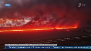 Сплошная стена пламени: опубликованы кадры лесного пожара во Флориде.