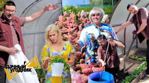 Ура, высаживаю рассаду перцев и томатов / экскурсия по участку.