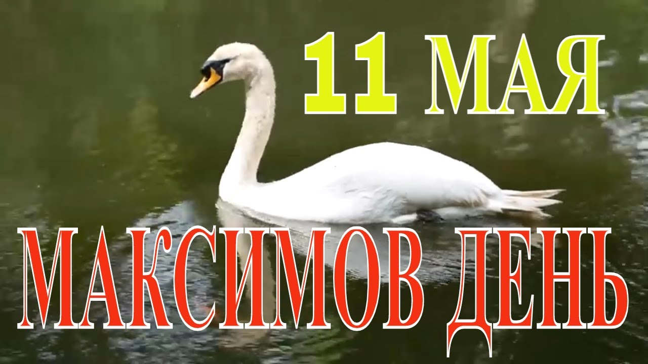 11 МАЯ - БЕРЁЗОСОК . С ПРАЗДНИКОМ ! ПРИМЕТЫ И ЗАПРЕТЫ НА ЭТОТ ДЕНЬ