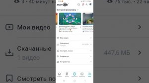прости меня желейка и король фенеков