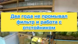Два года не промывал фильтр и работа с отстойником