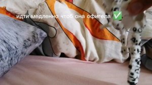 согласитесь😂