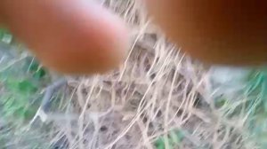 обзор на замазку за 39 руб+ граффити под мостом валстайл