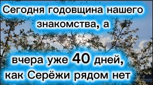 Вчера было 40 дней, как нет с нами моего Серёжи.