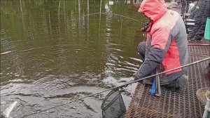 Рыба реагирует на приманки в активную проводку. Рыбалка на Спорт-зоне. Клёвое место Лосиный остров.