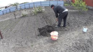 ЖИВЕМ В ДЕРЕВНЕ! МАЙСКИЕ ПРАЗДНИКИ В ОГОРОДЕ! САЖАЕМ ВЕСЬ ДЕНЬ!