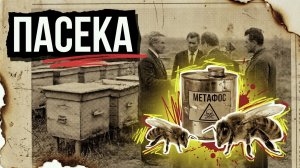 Пасека | [АУДИОКНИГА / ДЕТЕКТИВ]