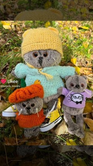 😸Когда в телефоне очень много фото с Басиками  #волшебныебудни #ПроБасика #Басикиилили #Басик