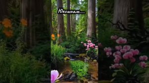 1000025849.mp4