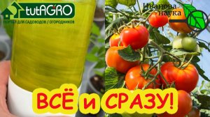Выбросите всю химию! 🧪 БЕСПЛАТНОЕ средство заменит 10 дорогих препаратов. Вместо Эпина и Циркона!