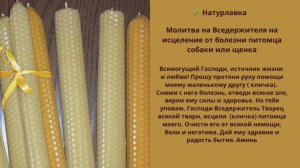 Молитва на Вседержителя на  исцеление от болезни питомца собаки и щенка.