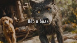 Пёс и Волк
