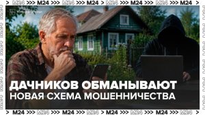 Владельцев дачных участков предупредили о новой схеме мошенничества - Москва 24