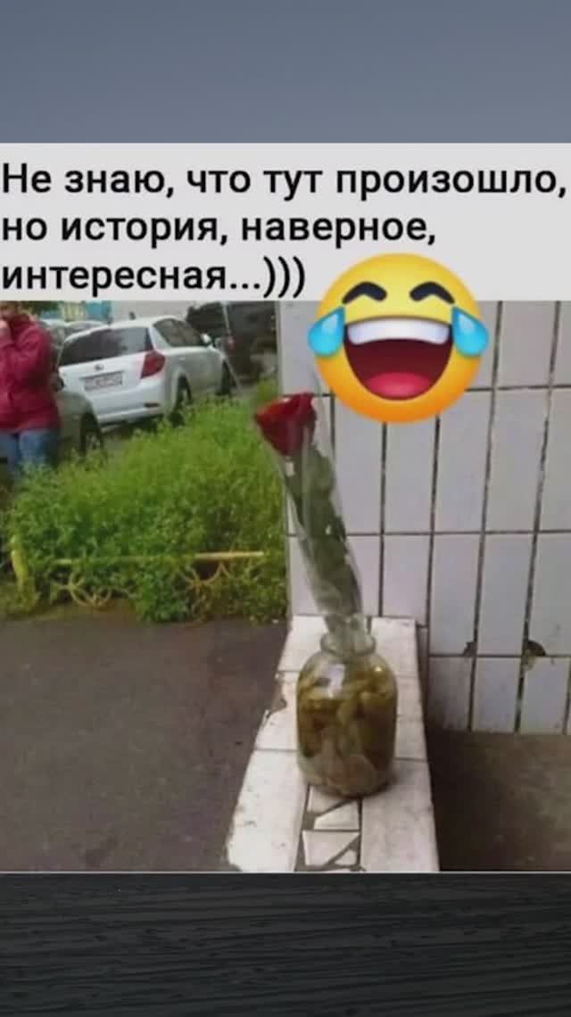 Шучу о истории