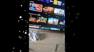 НоВоЕ ИнТрО? СтАраЯ МалЫшКа кОтоРуЮ я Вам нЕ пОкАзЫВаЛа?!?! 😱 в опис!