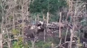 💥Архивные кадры: операторы FPV-дронов 11 АК уничтожают живую силу противника на опорном пункте