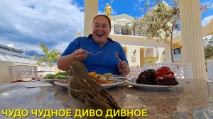 ANTIQUE ROMAN PALACE MUSEUM HOTEL 5* ВЫСЕЛЕНИЕ ИЗ НОМЕРА И ОБЕД В КОМПАНИИ🥰
