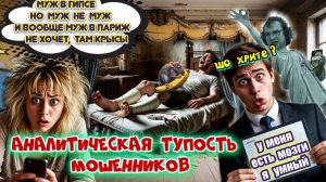 🔥😜МИФ ОТ МОШЕННИКОВ О ЗОЛОТЫХ ГОРАХ БЕСПЛАТНОГО СЫРА