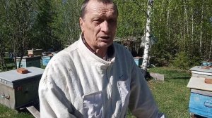 Первые работы на лесной пасеке , после переезда .