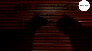 Стюарт Литтл 3: Зов природы (2005)