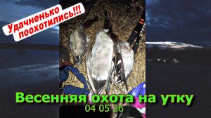 Весенняя охота на утку 04 05 26