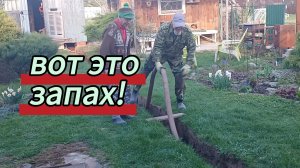 Ну и запах. Смена канализации. Туалету в доме быть. 08.05.2026