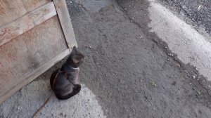 Не понравилось.