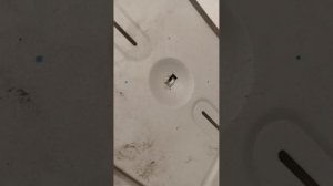бюджетный держатель для телевизора на стену с несколькими степенями вращения