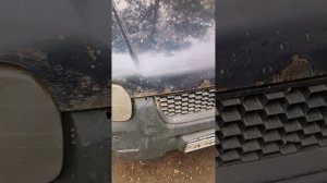 1000028759.mp4