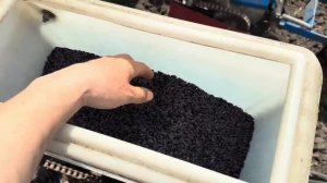 Культивация и сев подсолнечника 🙂завершение посевной