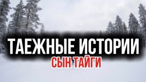 Сборник таежные истории знахарка