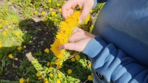 венок из одуванчиков в деревне