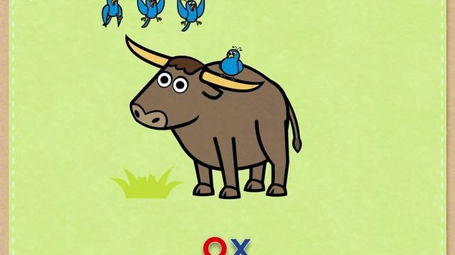 Oo letter ABC book