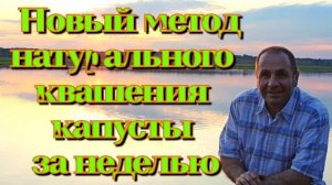 Самый быстрый, натуральный способ квашения капусты без капли воды