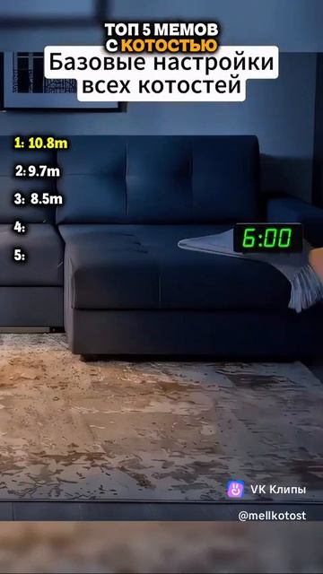5 мемов про котость