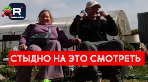 Простая жизнь Ольги с Зауралья _Стыдно на это смотреть _Обзор _Ольга из Зауралья