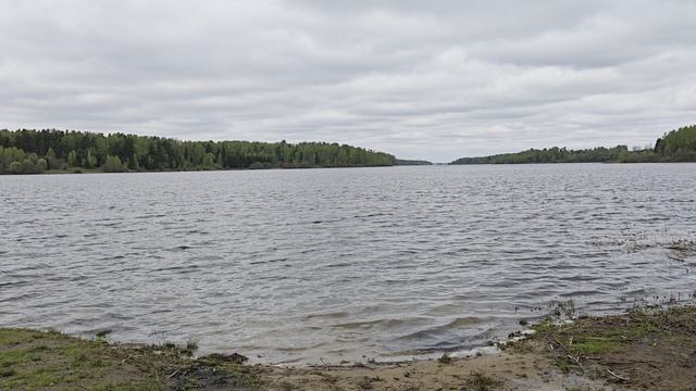 Уводьское вдхр. ч.8. Май 2026