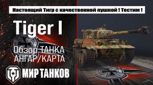 Tiger I обзор лучшей сборки оборудования, бронирование Тигр 1 и испытание боем