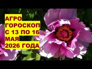 Агрогороскоп с 13 по 16 мая 2026: Что Нельзя Делать?!