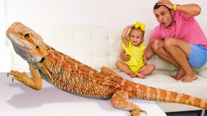 Большой и маленький — песенка: волшебная палочка Майи