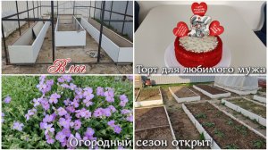 ВЛОГ 🏠 Торт для любимого мужа 🎂 Огородный сезон открыт! Посадила морковь и лук