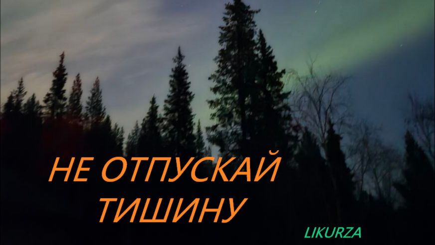 Не отпускай тишину