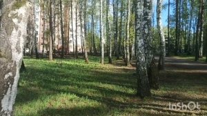 Дождь недал уехать на дачу