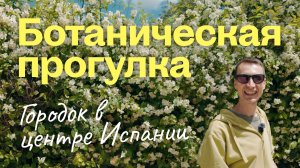 Что цветет в сердце Испании? Весенняя ботаническая прогулка по городку в центре Испании