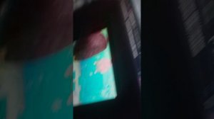 1000043322.mp4