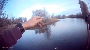 Сегодня вечерком порыбачил на поплавок🎣 Прикормка Стерля (Чеснок). Наживка навозный червь.