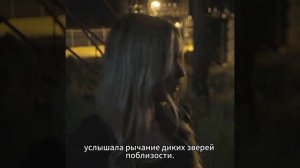 Фильм на вечер.