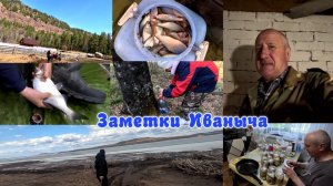 Мир. Труд. Май. Рыбалка.